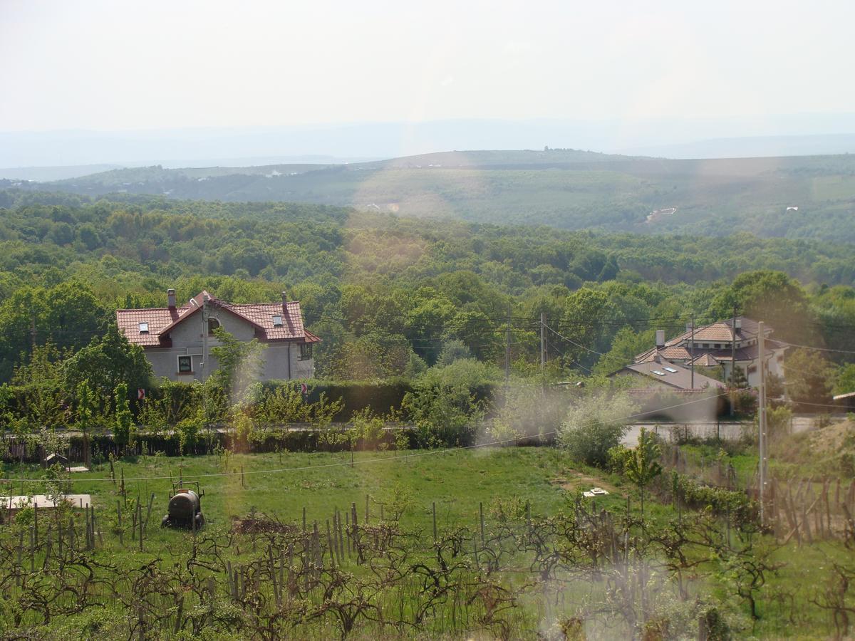 Pensiunea Taverna Bucium Yaş Dış mekan fotoğraf